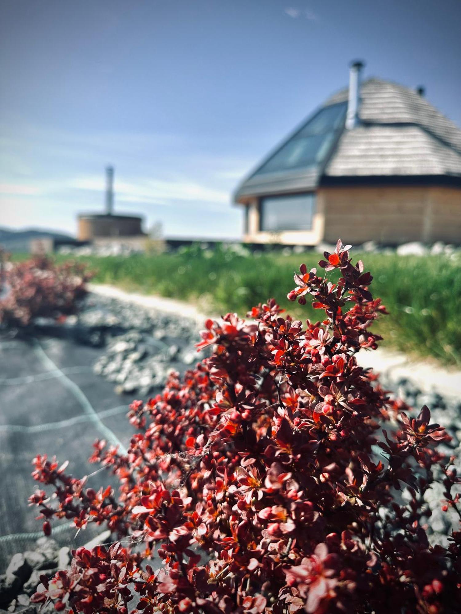 Heavenly Houses - Niebianskie Domki Jaworzynka Bagian luar foto